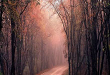 开云体育官网：苏翊鸣：拿到米兰冬奥会积分是北京站最重要目标中国新闻网.