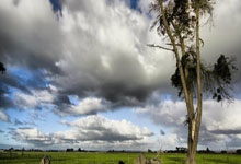 世体：西蒙尼今天继续试验阵容，有AZP、雷尼尔多和巴里奥斯.