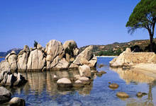 开云体育官网：杭州：助残共富，积极探索残疾人事业现代化路径光明网.